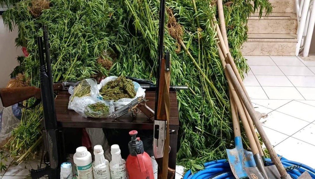 Ormanlık alanda Hint keneviri yetiştirdi, yakalandı Ormanlık alanda Hint keneviri yetiştirdi, yakalandı