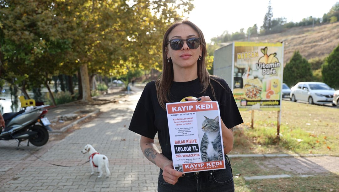 Kedisi kayboldu, bulana 100 bin lira ödül verecek: “3 gündür ağlamaktan uyuyamıyorum”