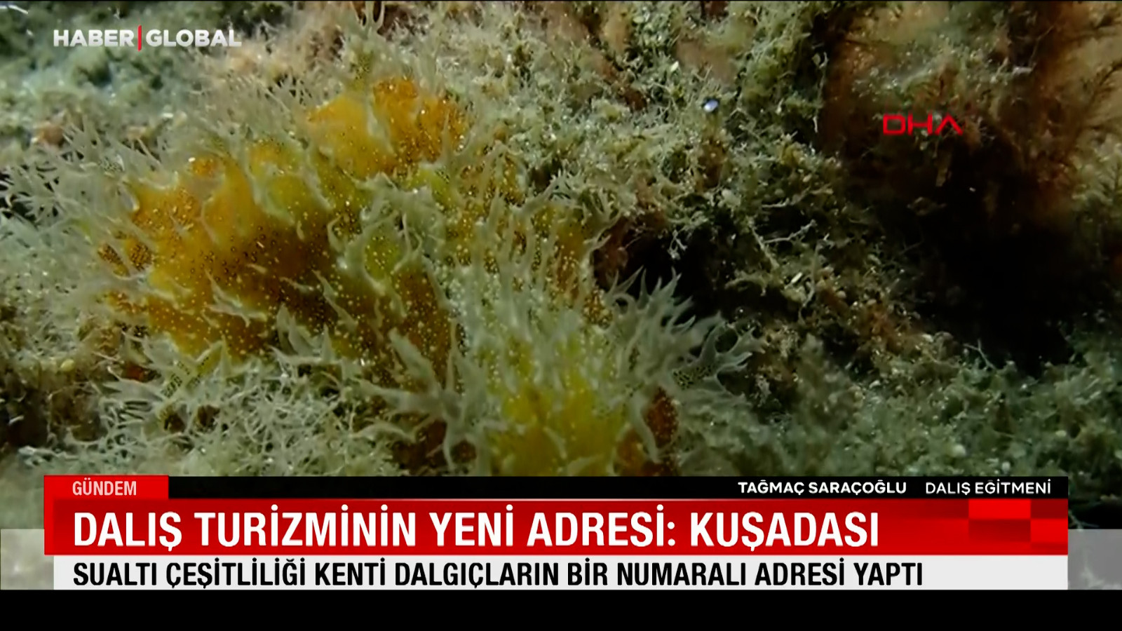 Dalış turizminin yeni adresi: Kuşadası Dalış turizminin yeni adresi: Kuşadası