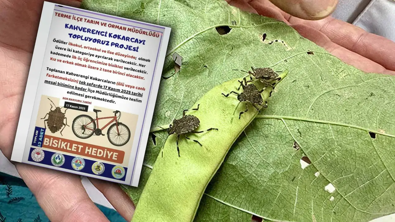 ‘Kokarca toplama’ projesine CHP’den tepki: ‘Bilimle mücadele edeceğimize, çocukları kullanıyoruz!’ – Son Dakika Siyaset Haberleri ‘Kokarca toplama’ projesine CHP’den tepki: ‘Bilimle mücadele edeceğimize, çocukları kullanıyoruz!’ – Son Dakika Siyaset Haberleri