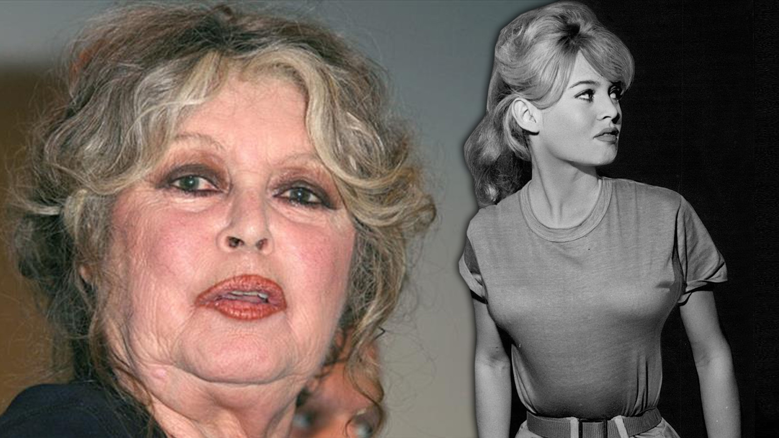 Efsane oyuncu Brigitte Bardot hastaneye kaldırıldı Efsane oyuncu Brigitte Bardot hastaneye kaldırıldı