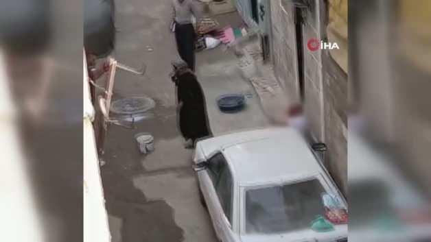 Gaziantep’te dehşete düşüren görüntüler: Annesini tekmeledi, ağabeyini defalarca bıçaklayarak öldürdü Gaziantep’te dehşete düşüren görüntüler: Annesini tekmeledi, ağabeyini defalarca bıçaklayarak öldürdü