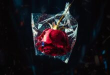 Berkay Altunyay Yeni Şarkısı ‘Beni Yalanlara Sar’ı Yayınladı