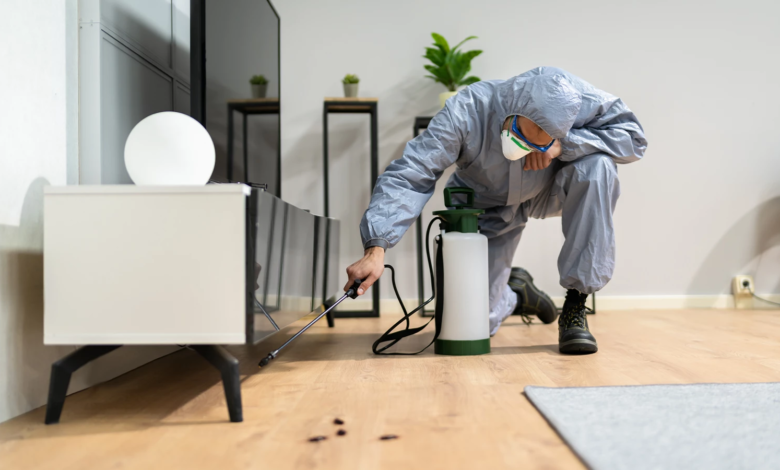 Fosfit Gazı Kullanımı ve İlaçlama Fiyatları Üzerine