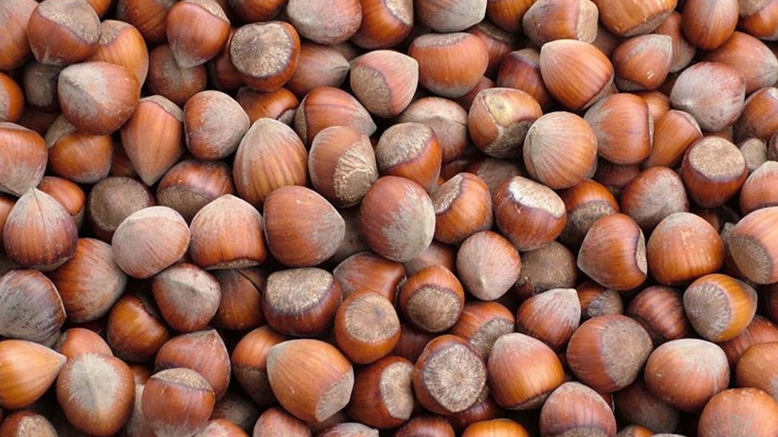 Rekabet Kurulu’ndan Ferrero’ya Fındık Alım Yükümlülüğü