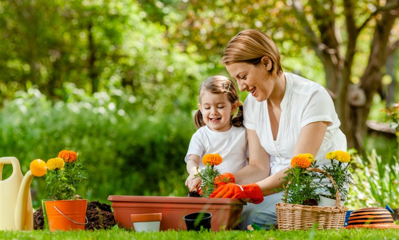 Aile İçi Aktivitelerin Çocuklar Üzerindeki Etkileri Aile İçi Aktivitelerin Çocuklar Üzerindeki Etkileri
